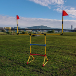 Badminton + Football Goal + Ladder Toss 3-in-1